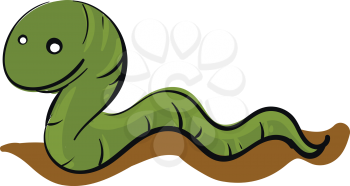 Green worm crawling on the ground  illustration basic RGB vector on white background