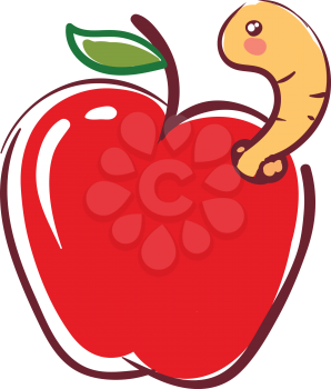 Apple worm going out from fruit  illustration basic RGB vector on white background