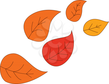 Colorful autumn leaves vector illustration on white background