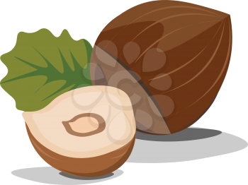 Hazelnut with leaf illustration vector on white background