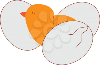 Little chicken between eggsillustration vector on white background