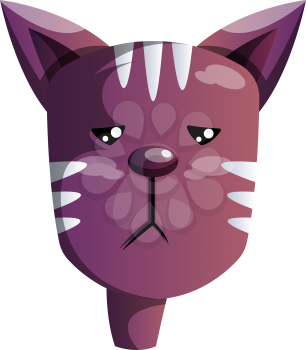Cartoon purple cat vector illustartion on white background