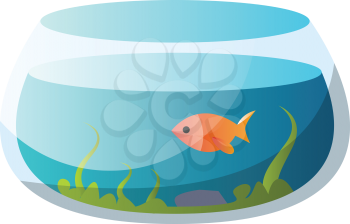 Round fishbowl with one goldfish vector illustration on a white background