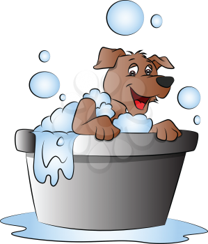 Vector illustration of happy and surprised dog in bathtub.