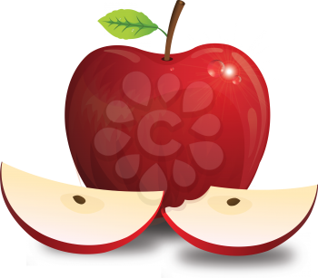 Apple, Fruit, Red, with Stem Leaf Seeds, Whole and Sliced, Bitten, vector illustration