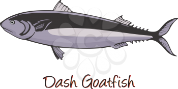 Dash-and-dot Goatfish, Color Illustration