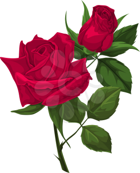 Vector illustration of red rose.