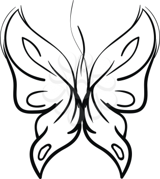 Butterfly sketch 