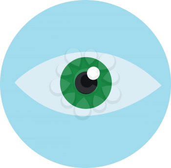 Green and blue eye 