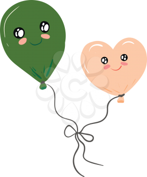 Two balloons tied together vector or color illustration