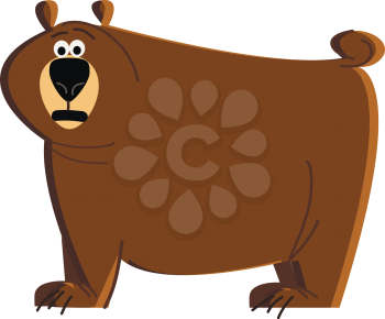 A big brown bear vector or color illustration