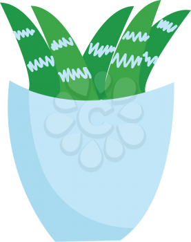 Plant in vase illustration vector on white background 
