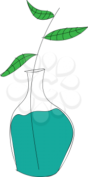 Plant in bottle illustration vector on white background 