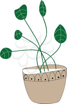 Rounded plant illustration vector on white background 