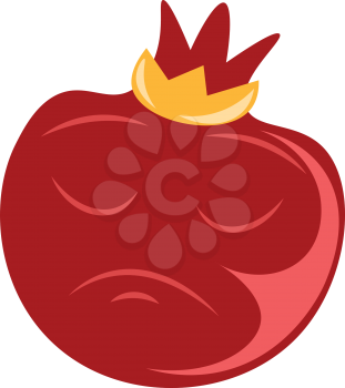 A fresh red pomegranate vector or color illustration
