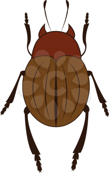 A giant brown beetle with six legs two antennae crawling upwards vector color drawing or illustration 
