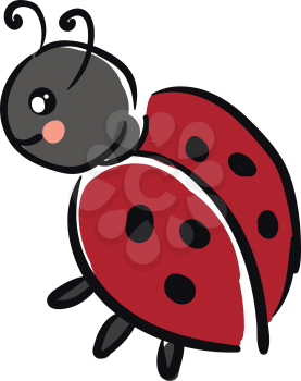 A small black color ladybug with red and black polka dots wings vector color drawing or illustration 