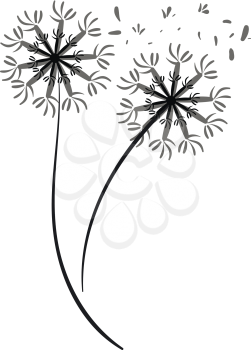 A silhouette of a dandelion blown by the wind vector color drawing or illustration 