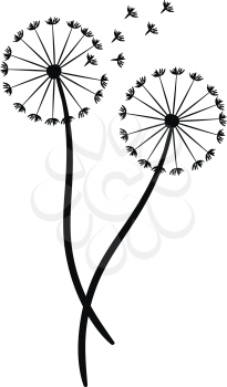 A silhouette of a dandelion blown by the wind vector color drawing or illustration 