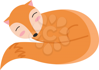 A small orange sleeping fox with a bushy tail vector color drawing or illustration 