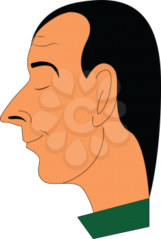 A man in a green-colored costume is with a pointed nose large ears and has closed his eyes vector color drawing or illustration 
