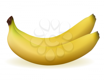 bananas realistic fresh and ripe stock vector illustration isolated on white background