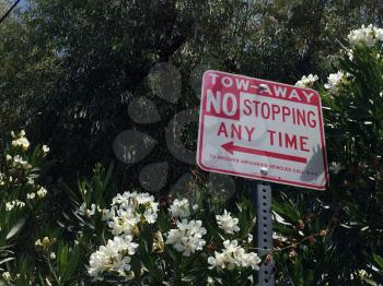 No stopping sign with trees in back