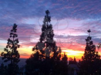 majestic sunset sunrise over trees silhouette purple pink ornage red