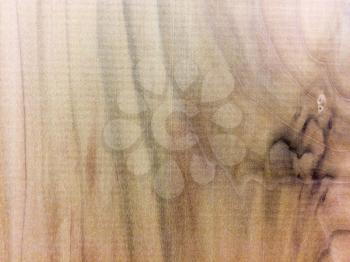 Modern abstract background wood grain pattern with text copy space
