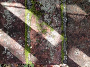 Rustic old brick moss texture pattern background lines with sunlight