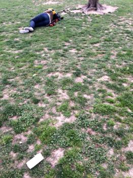sleeping person takes nap in park on the grass