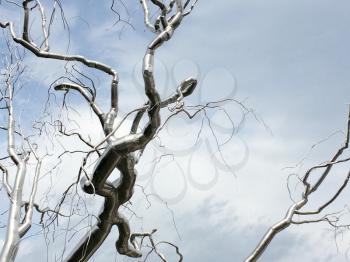 Aluminum metal tree branch with a blue sky