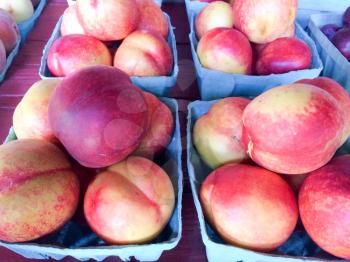 ripe nectarines in basket for sale farmers marketplace