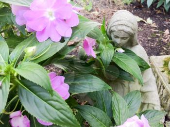 Hidden Virgin Mary statue with purple flower garden