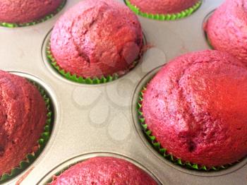 red velvet cupcakes in tray hot and fresh from oven yummy birthday treat