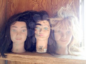 Zombie movie props Female mannequin plastic fake toy heads with hair in studio