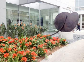 modern architecture business medical offices with flowers and modern art sculpture outdoors