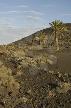 Los Volcanes Natural Park. Tinajo. Lanzarote. Canary Islands. Spain.