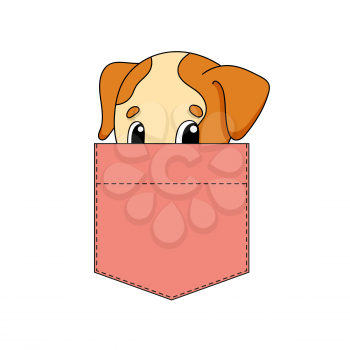 Cute character in shirt pocket. Dog animal. Colorful vector illustration. Cartoon style. Isolated on white background. Design element. Template for your shirts, stickers.