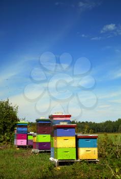 Nice and colourful wood hive box in a field with a nice blue sky