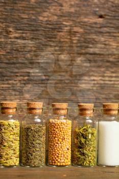 Spices, herbs and seeds for cooking in little jar in a row