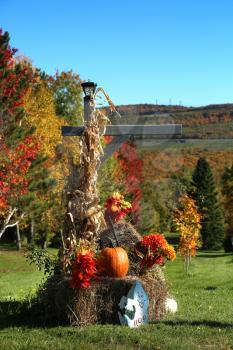 Halloween decoration with autumn landscape in background