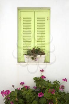 Green window on a white wall with flowers 