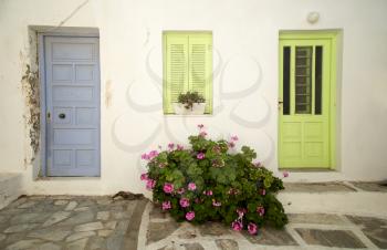 Blue and green door on a white wall with flowers in the middle