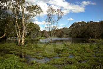 Beautiful view of the wetland in Sale in Victoria, Australia