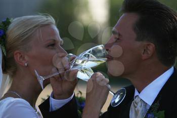 Royalty Free Photo of a Bride and Groom Toasting