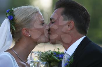 Royalty Free Photo of a Bride and Groom Kissing