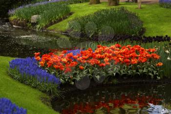 Royalty Free Photo of a Garden in the Netherlands