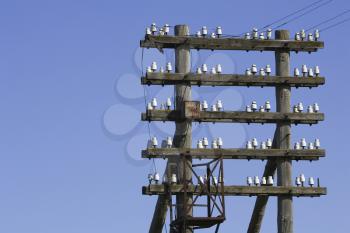 Electricity Stock Photo