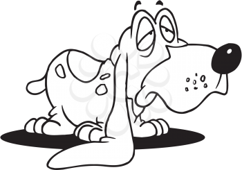 Royalty Free Clipart Image of a Bassett Hound